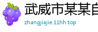 武威市某某自动化科技经销部